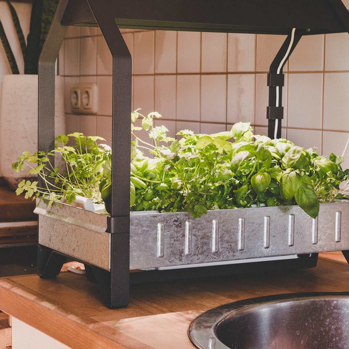 Expert Hydroponic Growing Tips & Product Insights, GrowersHouse, What Are  the Best Fabric Pots for Growing Plants?