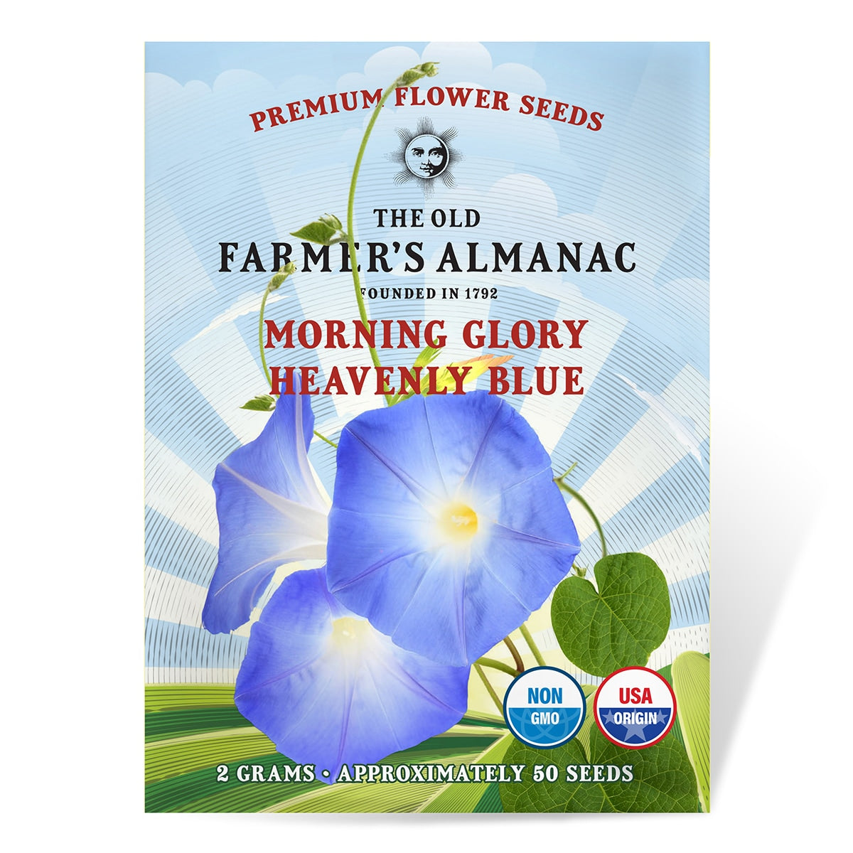 The Old Farmer's Almanac Heavenly Blue Morning Glory Seeds - Premium N –  SimplyGro
