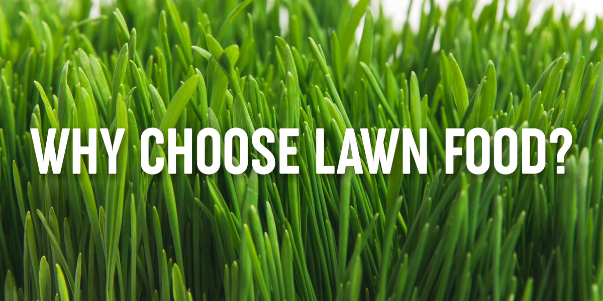 We Love Purely Organic Products Lawn Food & We Think You Will Too