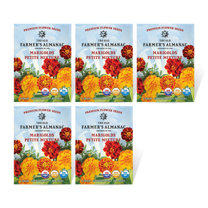 The Old Farmer's Almanac Petite Mixture Marigold Seeds - Premium Non-GMO, Open Pollinated, USA Origin, Flower Seeds