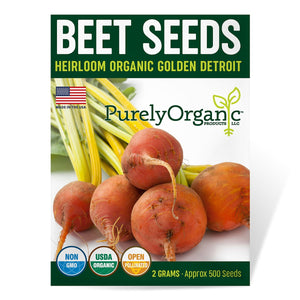 Purely Organic Golden Detroit Beet Seeds - USDA Organic, Non-GMO, Open Pollinated, Heirloom, USA Origin, Vegetable Seeds