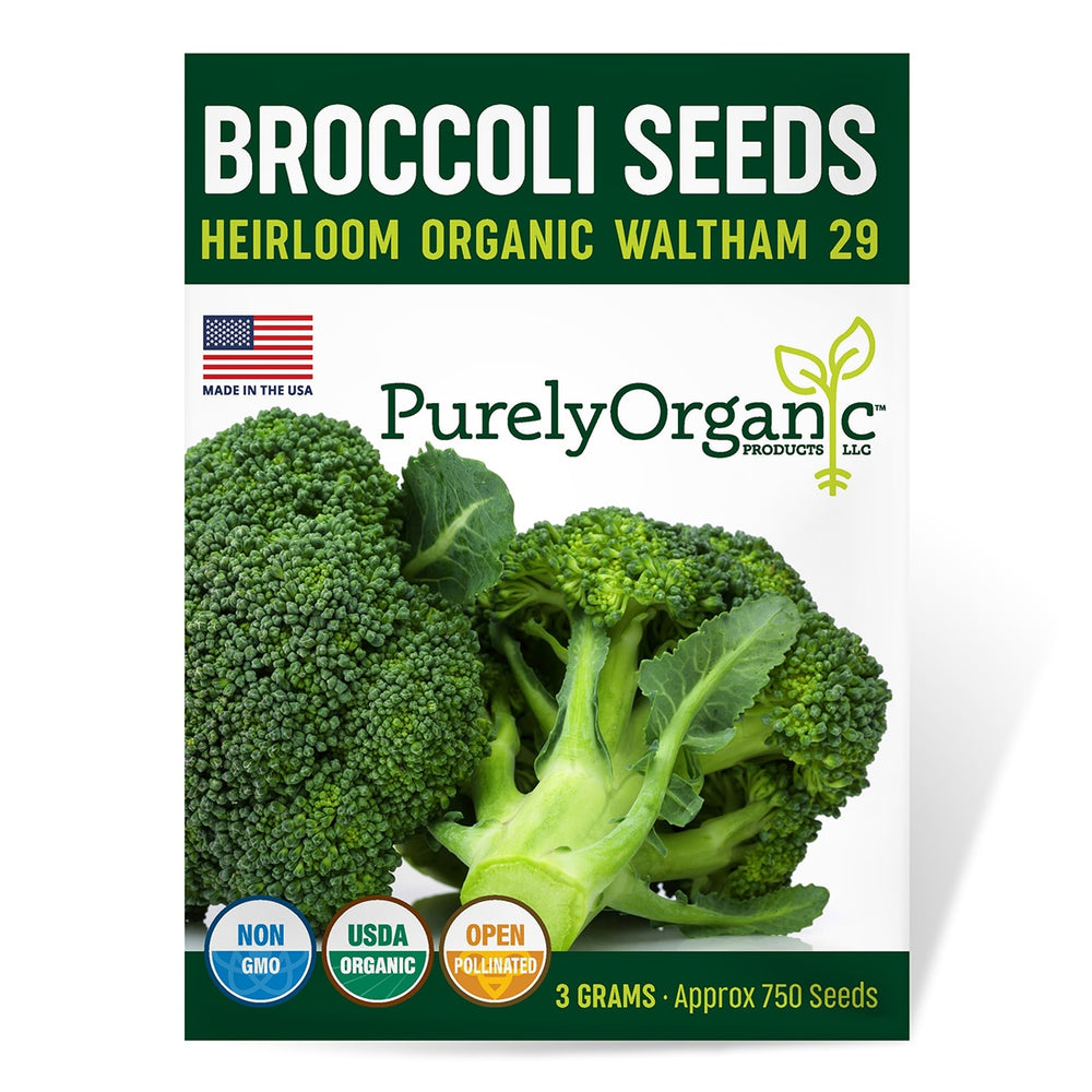 Purely Organic Waltham 29 Broccoli Seeds - USDA Organic, Non-GMO, Open Pollinated, Heirloom, USA Origin, Vegetable Seeds