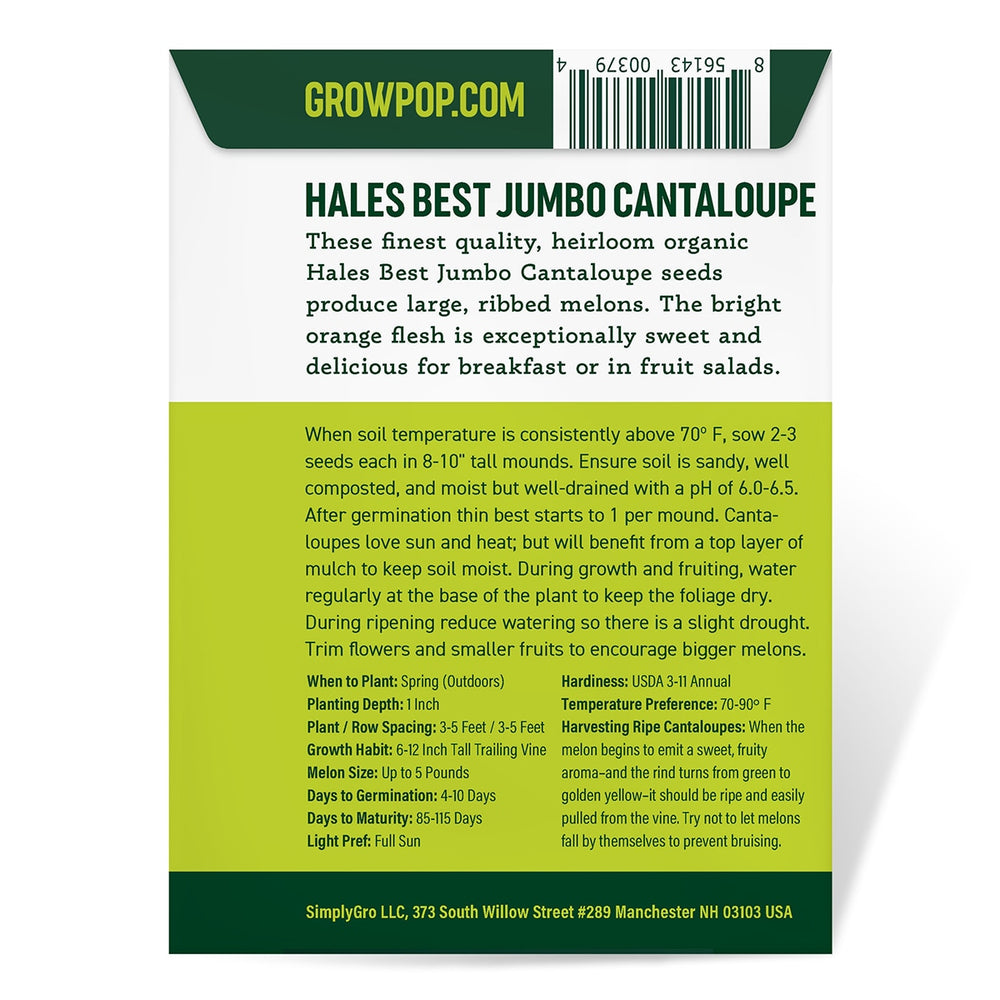 Purely Organic Hales Best Jumbo Cantaloupe Seeds - USDA Organic, Non-GMO, Open Pollinated, Heirloom, USA Origin, Fruit Seeds