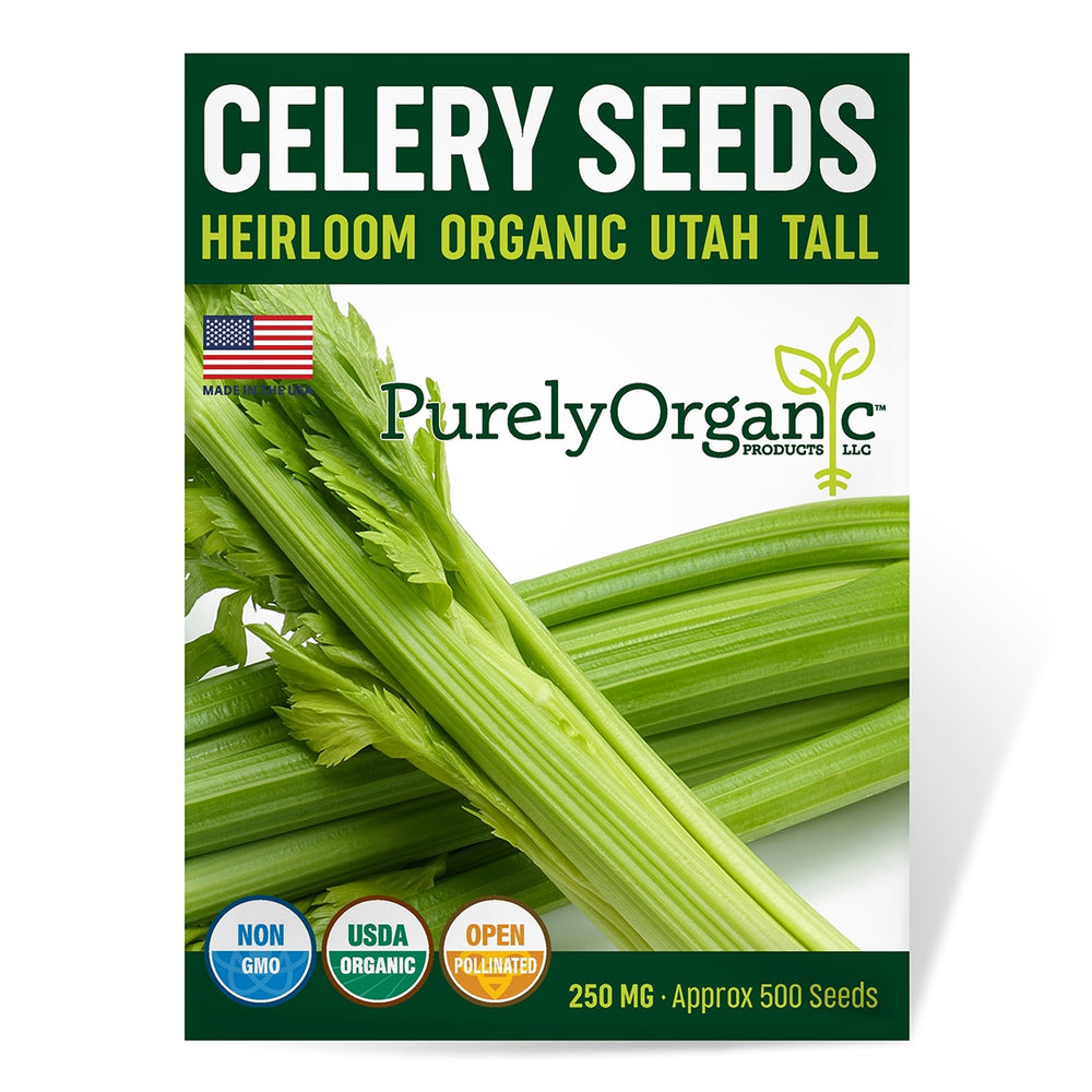 Purely Organic Utah Tall Celery Seeds - USDA Organic, Non-GMO, Open Pollinated, Heirloom, USA Origin, Vegetable Seeds