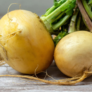 Purely Organic Golden Globe Turnip Seeds - USDA Organic, Non-GMO, Open Pollinated, Heirloom, Vegetable Seeds