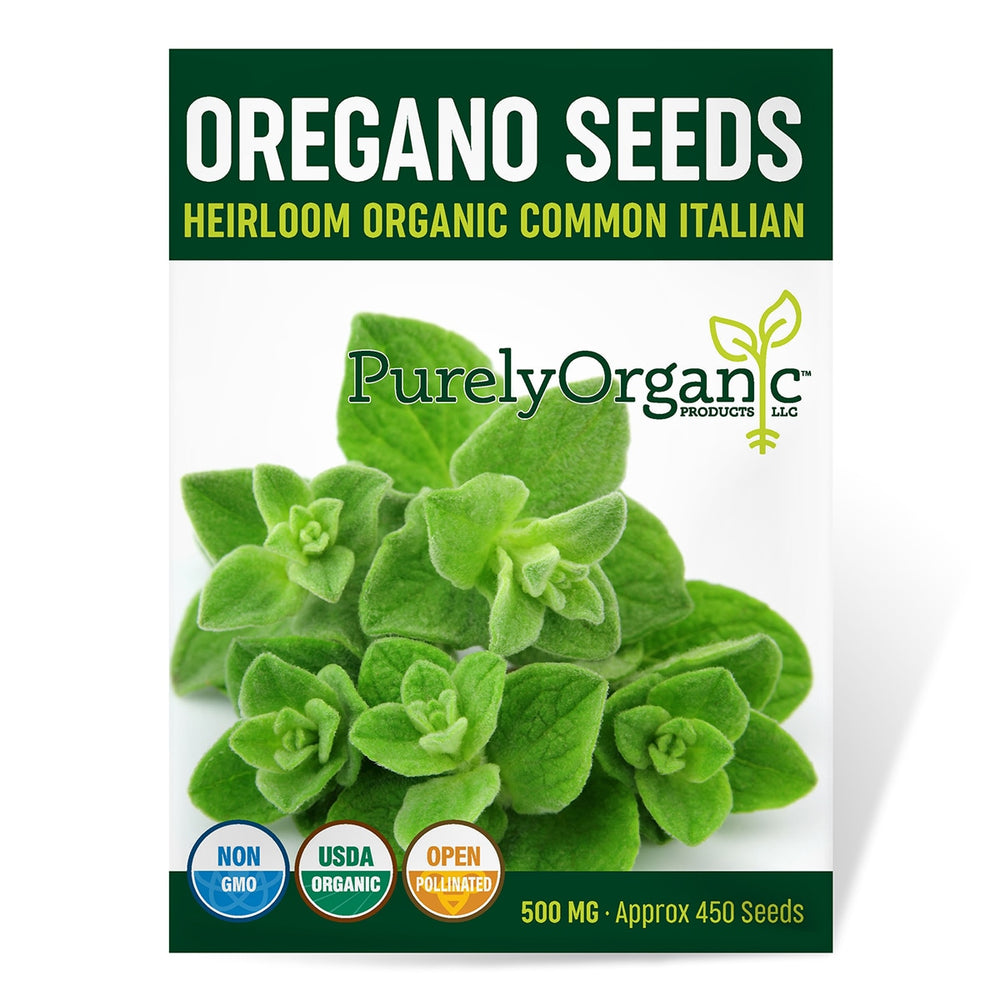 Purely Organic Common Italian Oregano Seeds