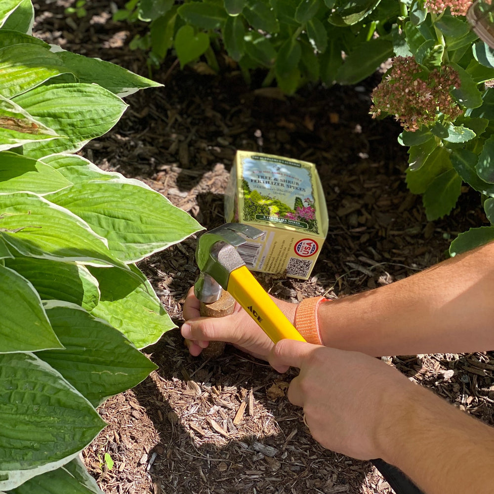 the old farmers almanac evergreen tree shrub fertilizer spikes in use