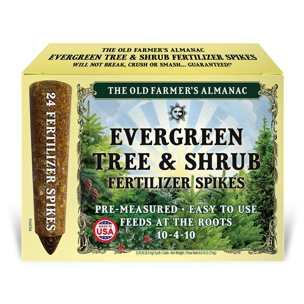 the old farmers almanac evergreen tree shrub fertilizer spikes box front 24-pack