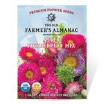 The Old Farmer's Almanac Powder Puff Mix Aster Seeds - Premium Non-GMO, Open Pollinated, USA Origin, Flower Seeds