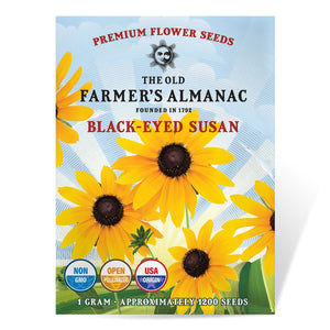 Last Year's Flower Seeds at Great Discount Prices