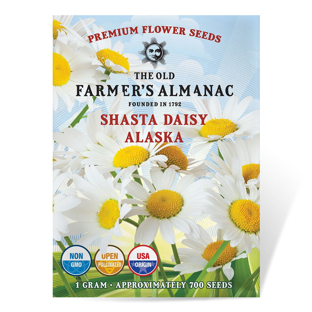 The Old Farmer's Almanac Shasta Alaska Daisy Seeds - Premium Non-GMO, Open Pollinated, Flower Seeds