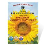 The Old Farmer's Almanac Mammoth Gray Strip Sunflower Seeds - Premium Non-GMO, Open Pollinated, USA Origin, Flower Seeds