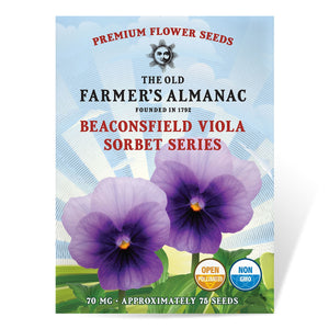 The Old Farmer's Almanac Sorbet Series Beaconsfield Viola Seeds - Premium Non-GMO, Open Pollinated, USA Origin, Flower Seeds