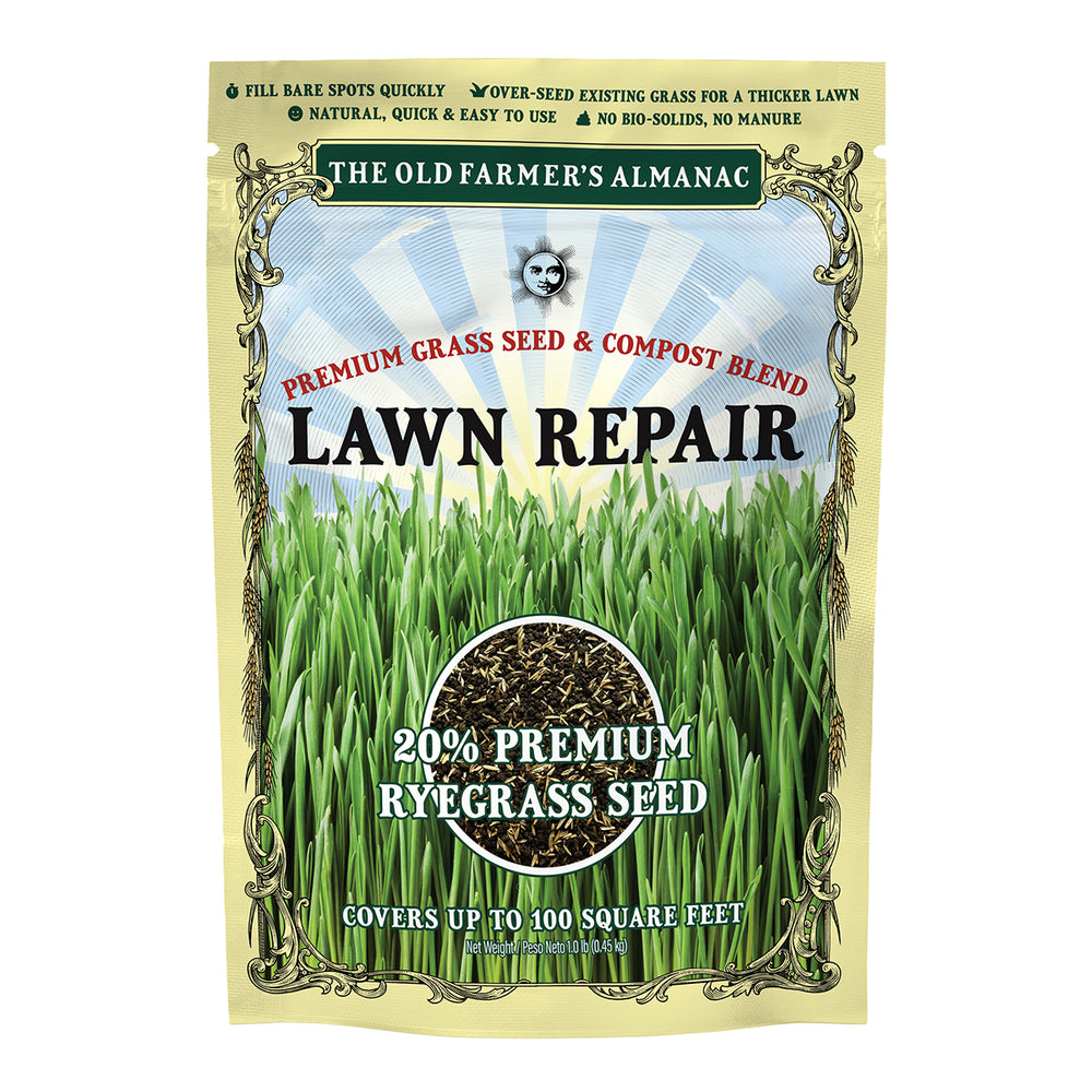 The Old Farmer's Almanac Lawn Repair Premium Grass Seed & Compost Blend