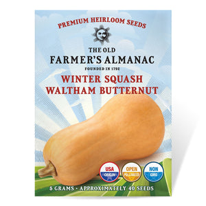 The Old Farmer's Almanac Heirloom Waltham Butternut Winter Squash Seeds - Premium Non-GMO, Open Pollinated, USA Origin, Vegetable Seeds