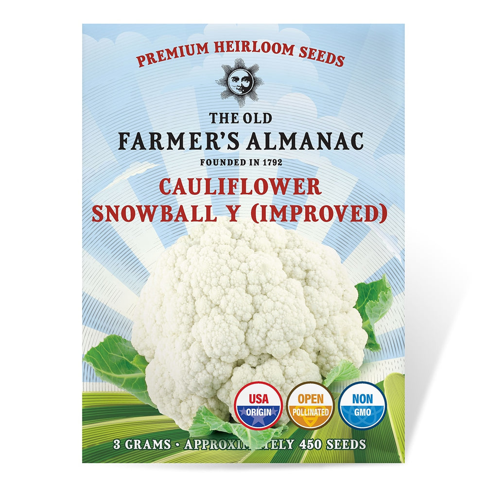 The Old Farmer's Almanac Heirloom Snowball Y (Improved) Cauliflower Seeds - Premium Non-GMO, Open Pollinated, USA Origin, Vegetable Seeds