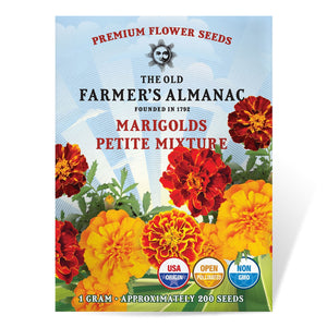 The Old Farmer's Almanac Petite Mixture Marigold Seeds - Premium Non-GMO, Open Pollinated, USA Origin, Flower Seeds