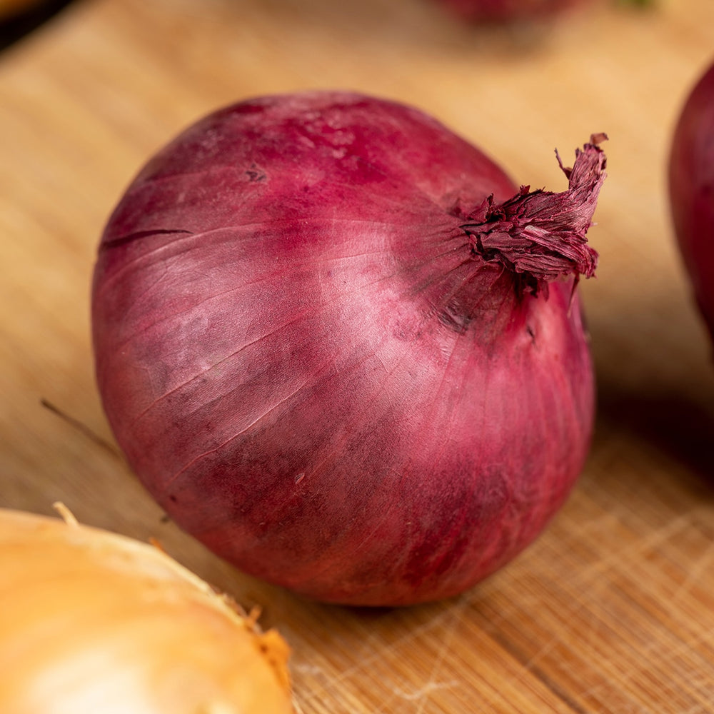 The Old Farmer's Almanac Heirloom Red Creole Onion Seeds - Premium Non-GMO, Open Pollinated, Vegetable Seeds