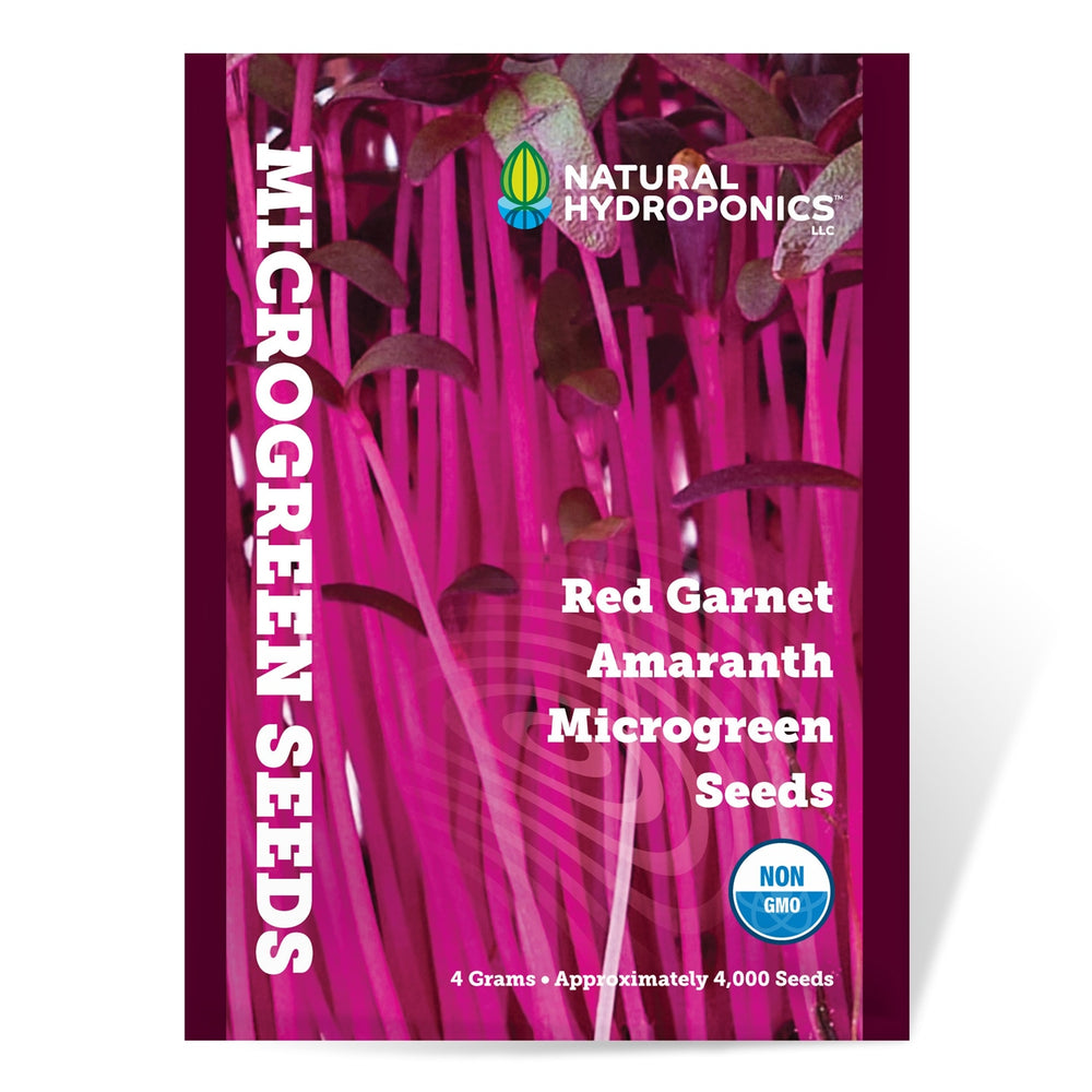 Natural Hydroponics Red Garnet Amaranth Microgreen Seeds - Approx 4000 Seeds