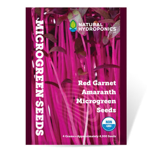 Natural Hydroponics Red Garnet Amaranth Microgreen Seeds - Approx 4000 Seeds