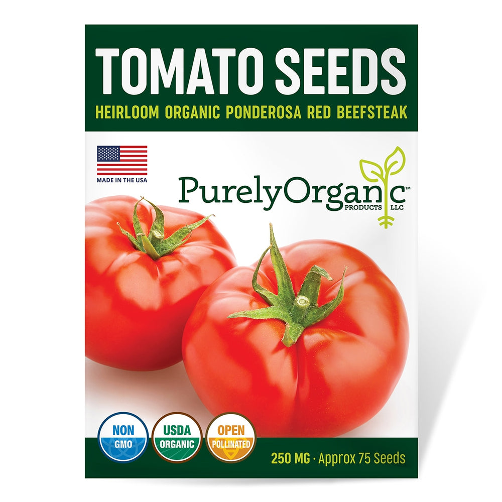 Seed Needs, True Beefsteak Tomato Seeds - 80 Heirloom Seeds for Planting  Lycopersicon esculentum - Non-GMO & Untreated Indeterminate Variety to  Plant