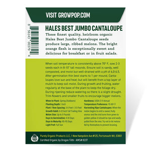 
                
                    Load image into Gallery viewer, Purely Organic Heirloom Cantaloupe Seeds - Hales Best Jumbo (Approx 120 Seeds)
                
            