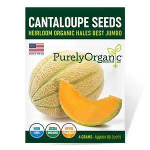 
                
                    Load image into Gallery viewer, Purely Organic Heirloom Cantaloupe Seeds - Hales Best Jumbo (Approx 120 Seeds)
                
            