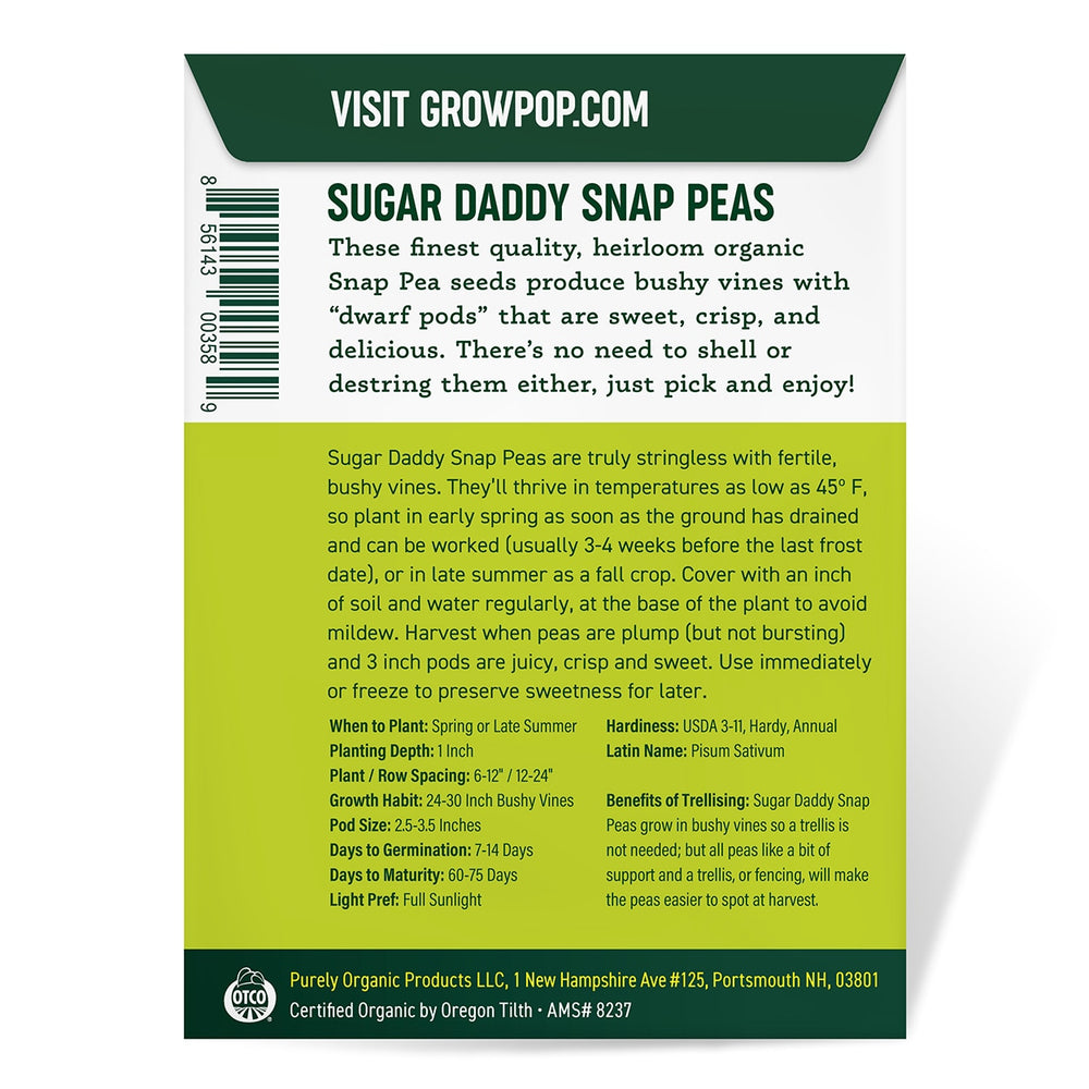 
                
                    Load image into Gallery viewer, Purely Organic Heirloom Snap Pea Seeds - Sugar Daddy (Approx 75 Seeds)
                
            