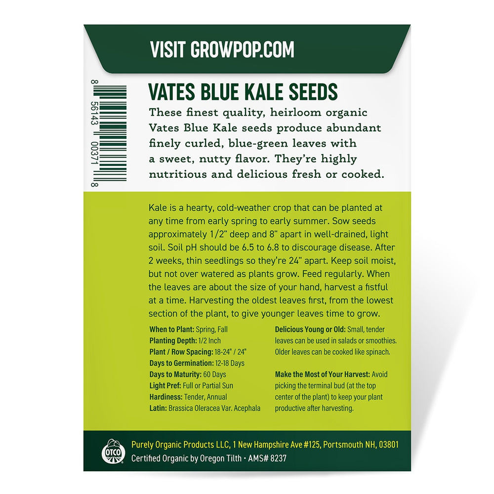 Purely Organic Heirloom Kale Seeds - Vates Blue Scotch Curled (Approx 500 Seeds)