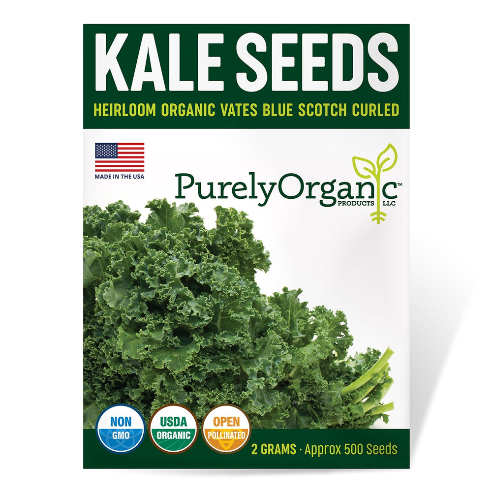 Purely Organic Vases Blue Scotch Curled Kale Seeds - USDA Organic, Non-GMO, Open Pollinated, Heirloom, USA Origin, Vegetable Seeds