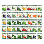 Purely Organic Vegetable Seed Variety Pack (40 USDA Organic, Heirloom, Non-GMO, Open Pollinated Seed Packets)