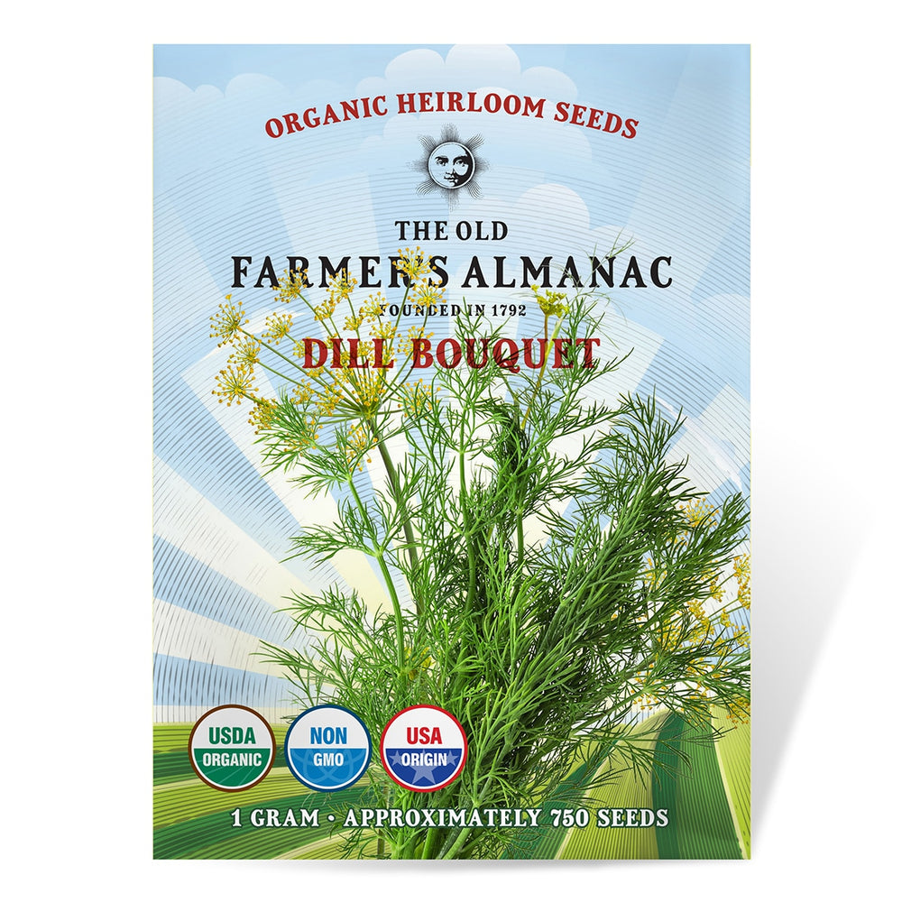 The Old Farmer's Almanac Organic Bouquet Dill Seeds - Premium Non-GMO, Open Pollinated, USA Origin, Heirloom, Herb Seeds