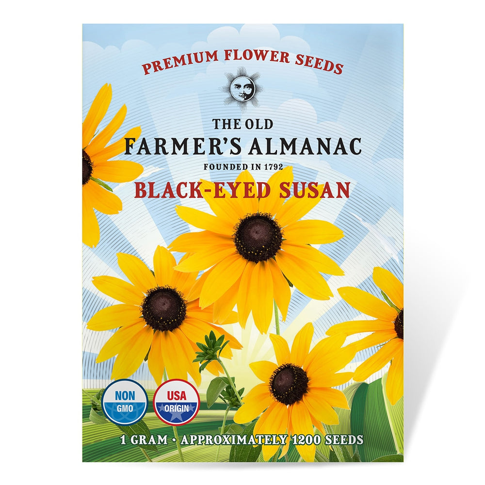 The Old Farmer's Almanac Premium Black Eyed Susan (Rudbeckia) Seeds