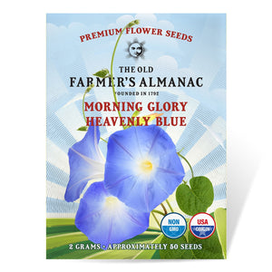 The Old Farmer's Almanac Heavenly Blue Morning Glory Seeds - Premium Non-GMO, Open Pollinated, USA Origin, Flower Seeds