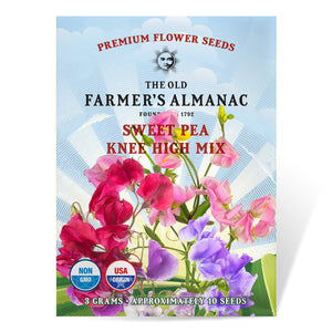 
                
                    Load image into Gallery viewer, The Old Farmer&amp;#39;s Almanac Premium Sweet Pea Seeds (Knee High Mix) - Approx 10 Seeds
                
            