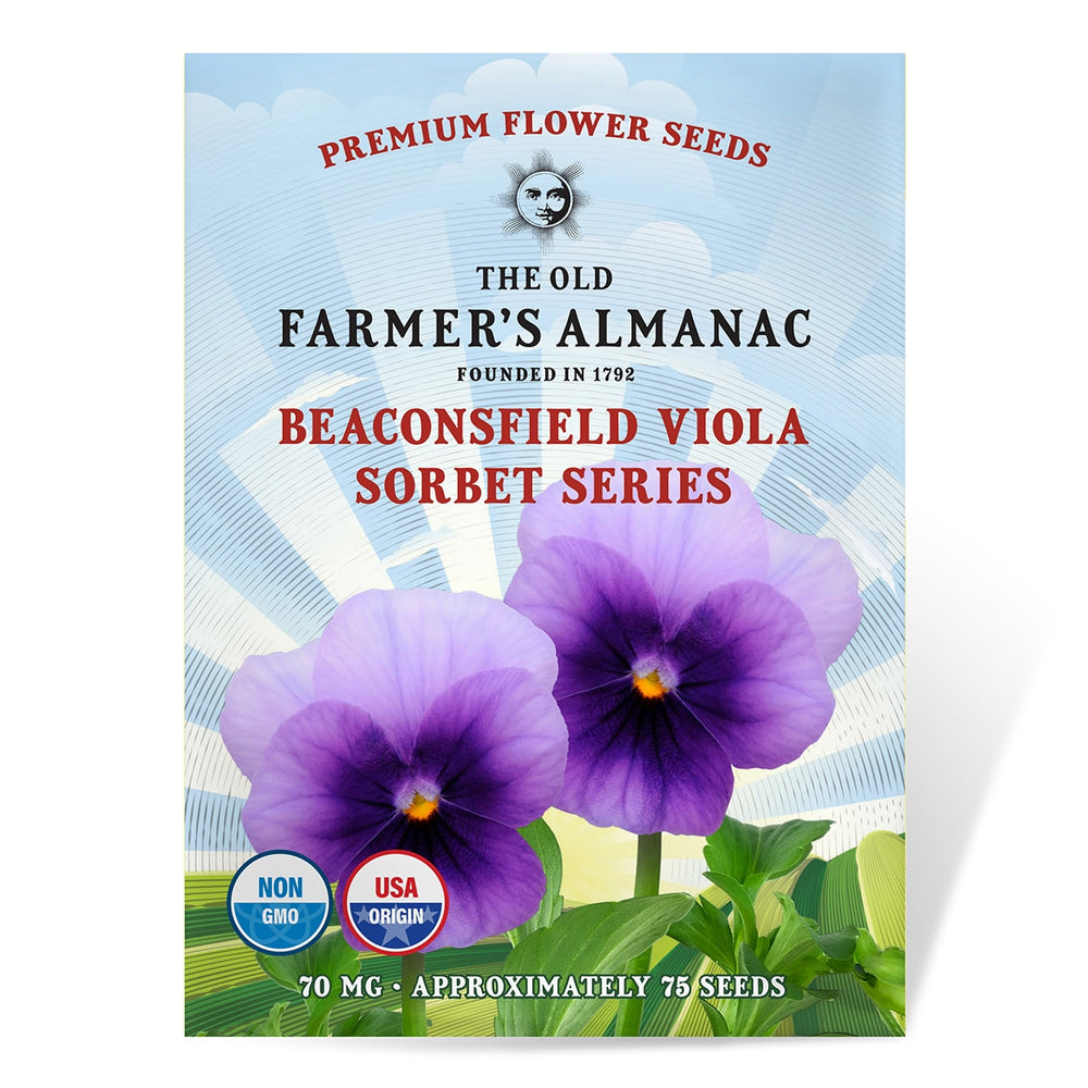 The Old Farmer's Almanac Premium Viola Seeds (Sorbet Series Beaconsfield) - Approx 75 Flower Seeds