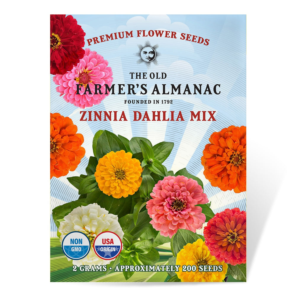 The Old Farmer's Almanac Dahlia Mix Zinnia Seeds - Premium Non-GMO, Open Pollinated, USA Origin, Flower Seeds