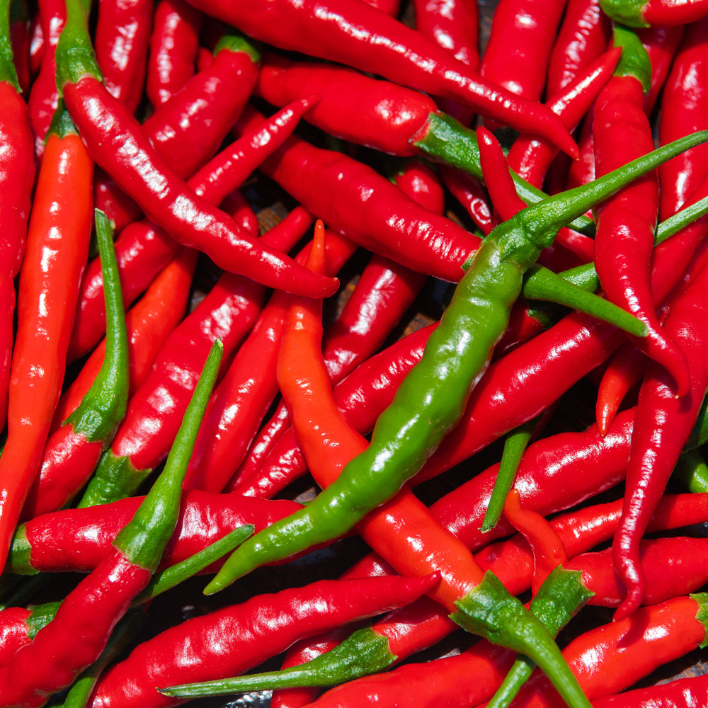 Pepper - Red Cayenne Chili Pepper (Capsicum annuum) Cayenne Hot Peppers -  Non GMO & Organic Heirloom Vegetable
