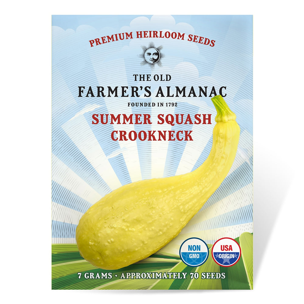 The Old Farmer's Almanac Heirloom Yellow Crookneck Summer Squash Seeds - Premium Non-GMO, Open Pollinated, Vegetable Seeds