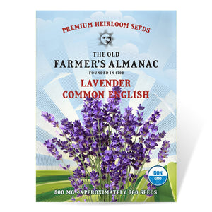 
                
                    Load image into Gallery viewer, The Old Farmer&amp;#39;s Almanac Heirloom Common English Lavender Seeds - Premium Non-GMO, Open Pollinated, Flower &amp;amp; Herb Seeds
                
            