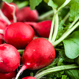 
                
                    Load image into Gallery viewer, The Old Farmer&amp;#39;s Almanac Organic Cherry Belle Radish Seeds - Premium Non-GMO, Open Pollinated, USA Origin, Heirloom, Vegetable Seeds
                
            