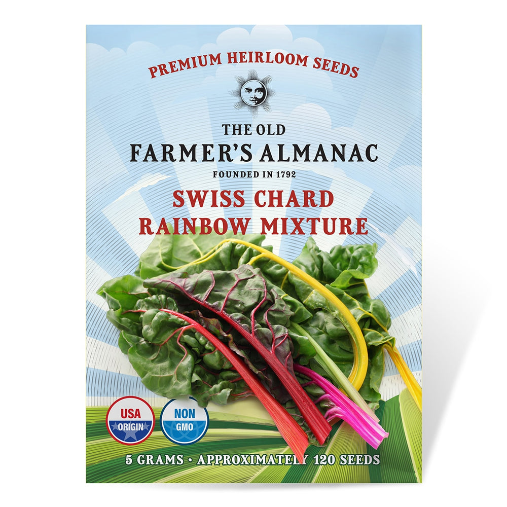 The Old Farmer's Almanac Heirloom Rainbow Mix Swiss Chard Seeds - Premium Non-GMO, Open Pollinated, USA Origin, Vegetable Seeds