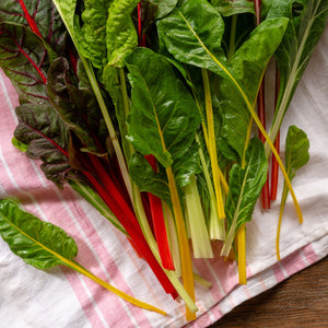 
                
                    Load image into Gallery viewer, The Old Farmer&amp;#39;s Almanac Heirloom Rainbow Mix Swiss Chard Seeds - Premium Non-GMO, Open Pollinated, USA Origin, Vegetable Seeds
                
            