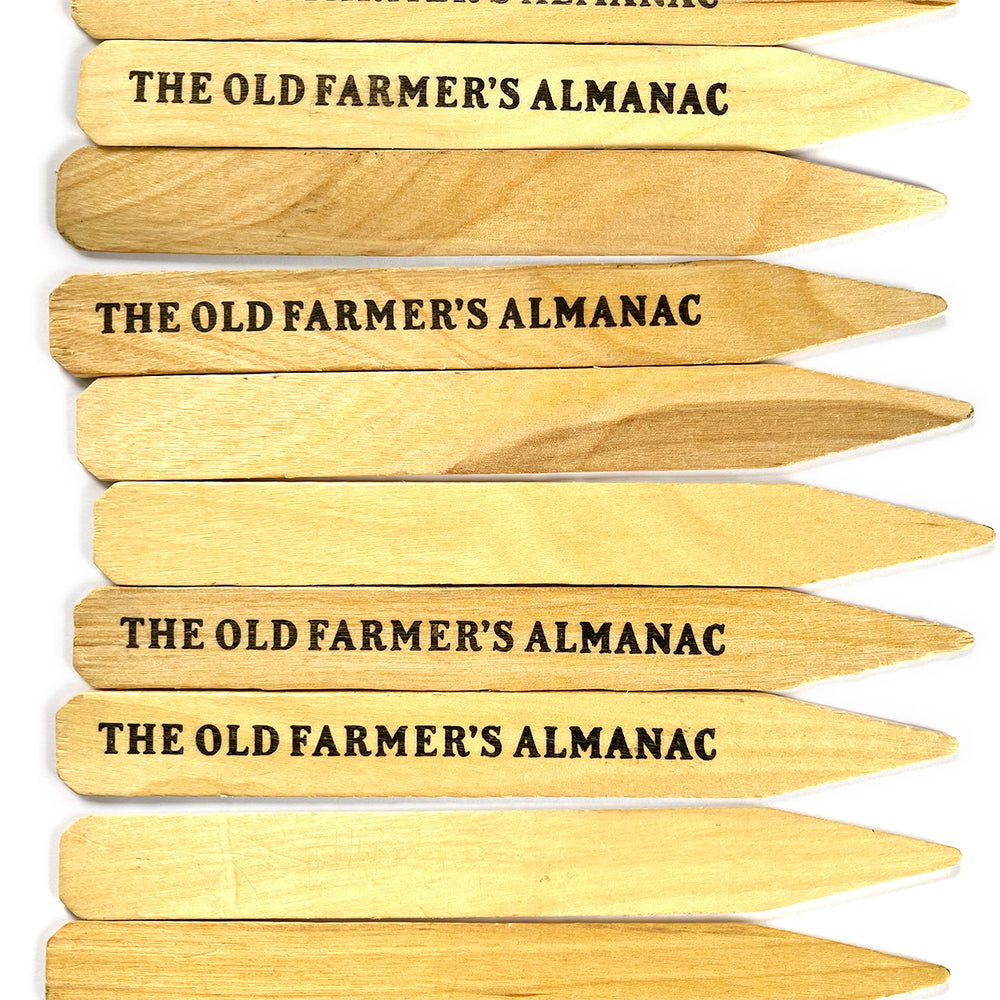 The Old Farmer's Almanac Wooden Garden Plant Markers (40 Stakes - 8.0 x 0.875 Inches Each)