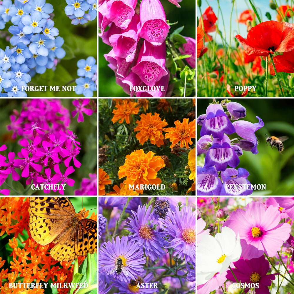 The Old Farmer's Almanac Premium Pollinator Mix Wildflower Seeds - Includes 23 Varieties